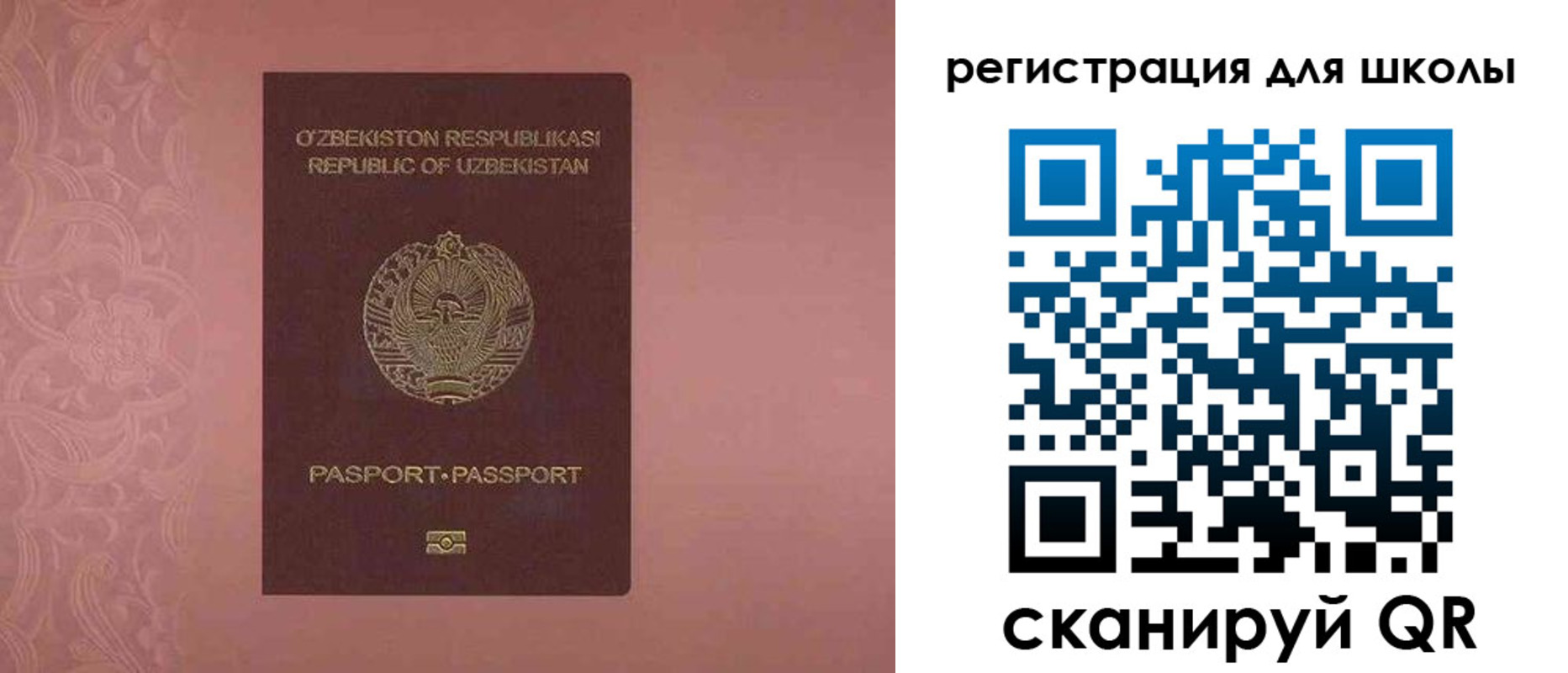 прописка для школы в Гвардейске