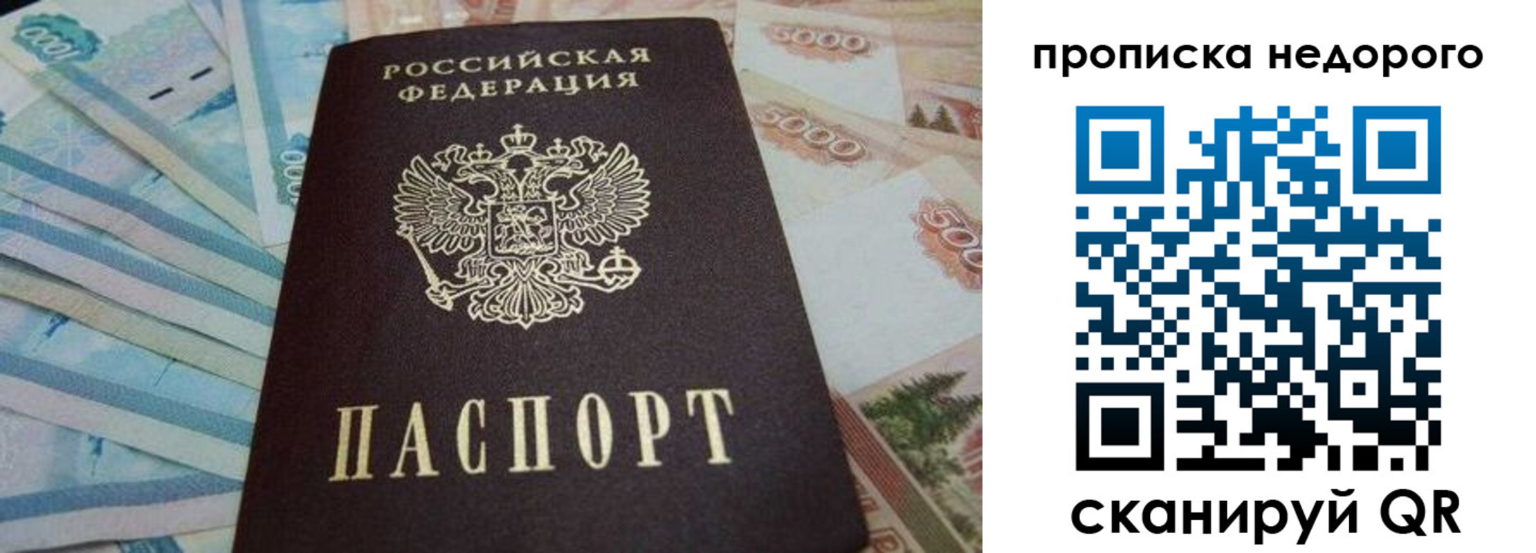 временная регистрация поиск в Гвардейске